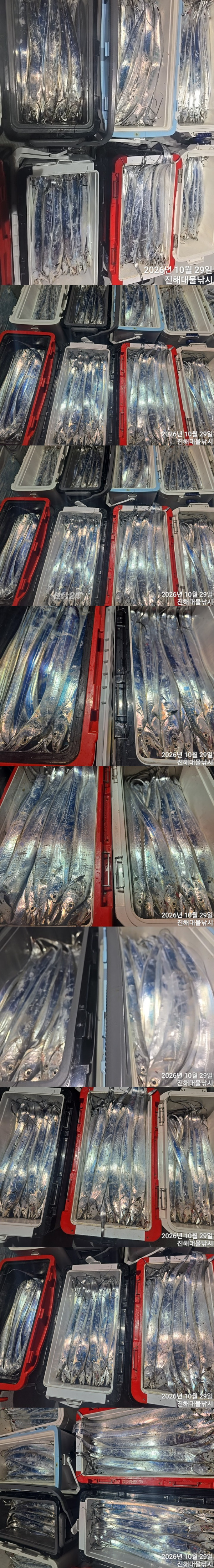 칼치4.jpg