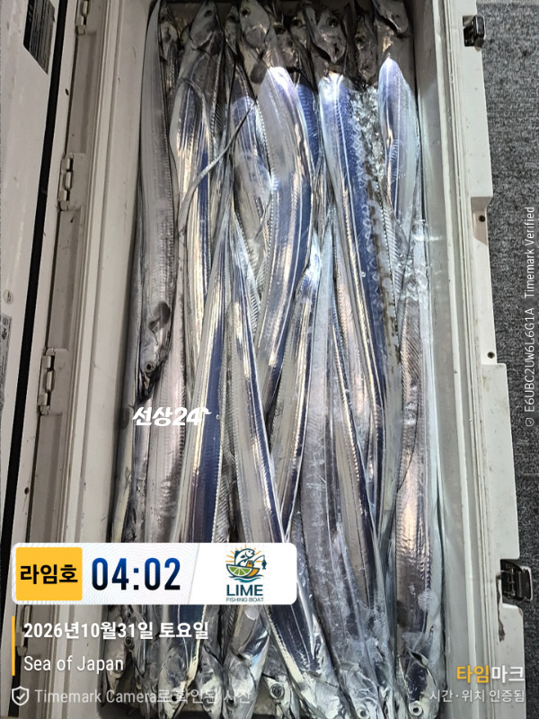 KakaoTalk_20261031_043559265_13.jpg