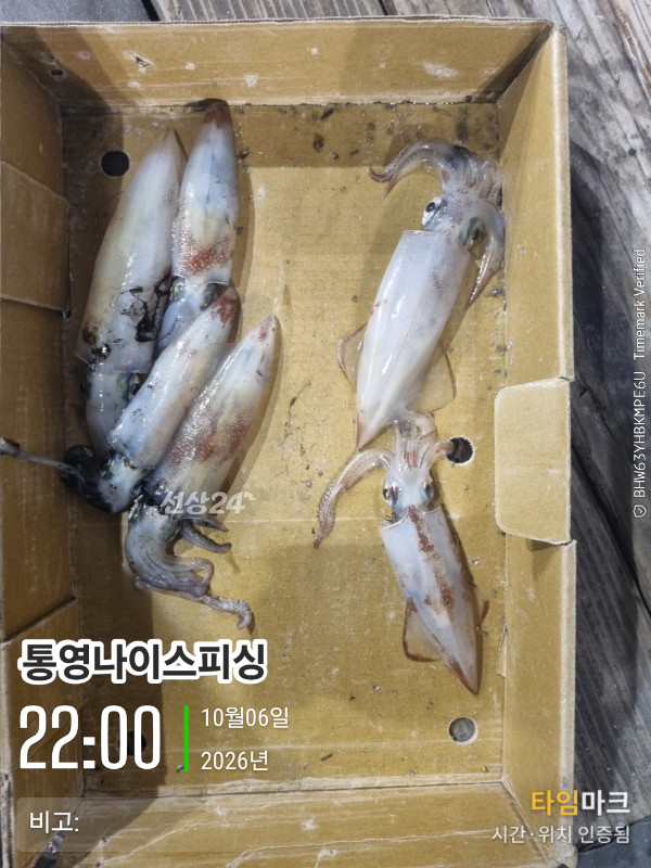 20261006_220032_글꼴-통영나이스피싱.jpg