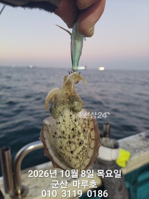 KakaoTalk_20261008_161016845_17 (1).jpg