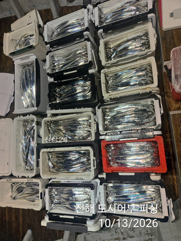 KakaoTalk_20261013_051029627_13.jpg