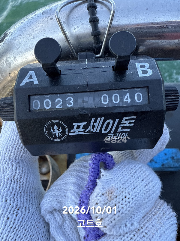 TC_08918.jpeg