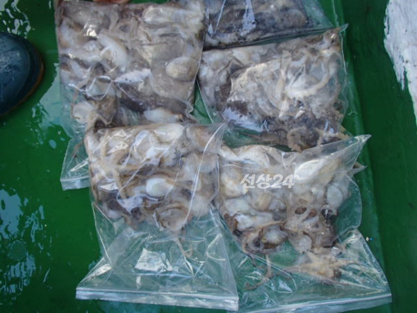 106.JPG