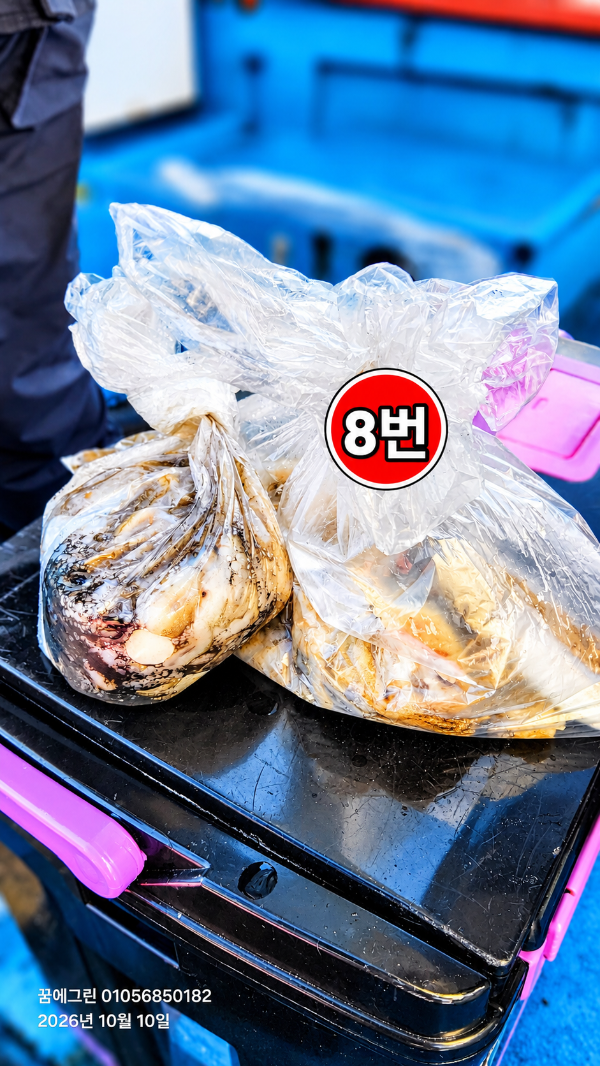 쳇8.png