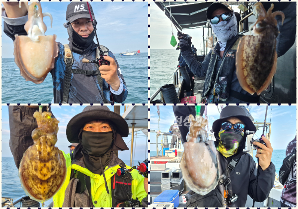 collage2.png