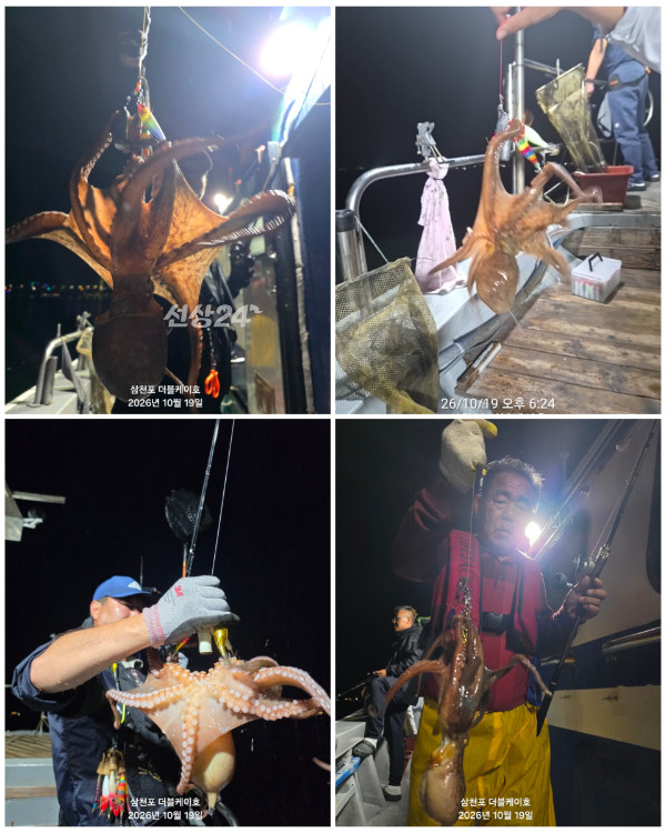 GridArt_20261020_111521230.jpg