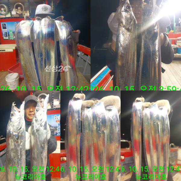 1000087560.jpg