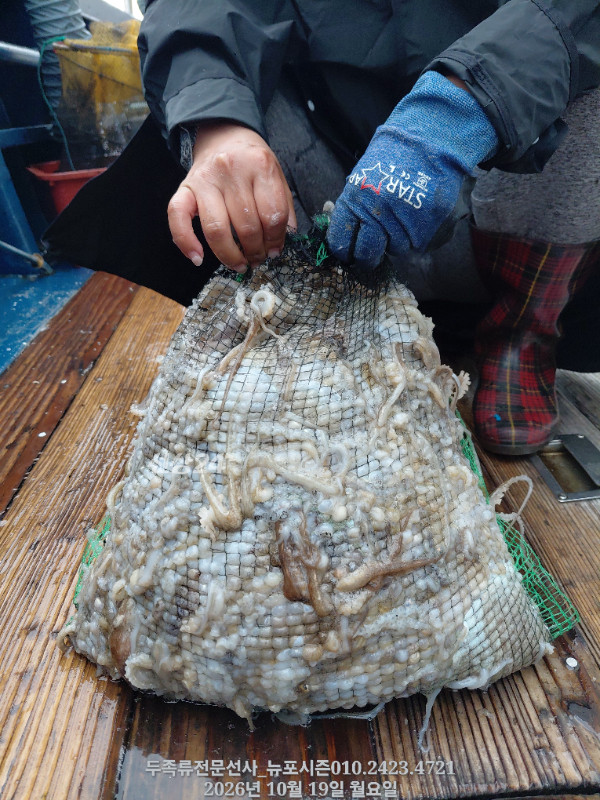 1000025834.jpg
