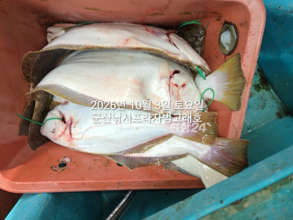 KakaoTalk_20261003_144137408_05.jpg