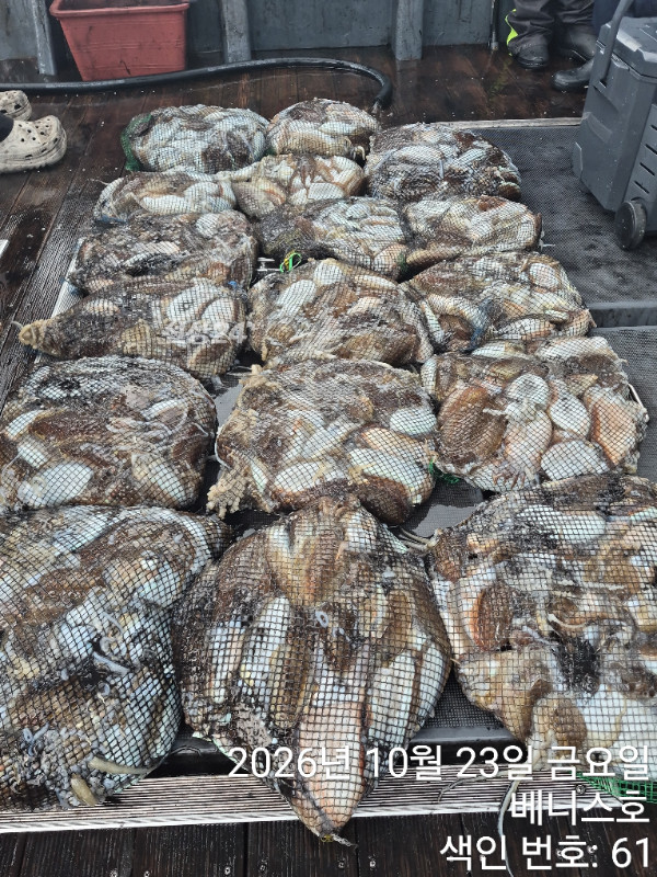 KakaoTalk_20261023_190506934_06.jpg