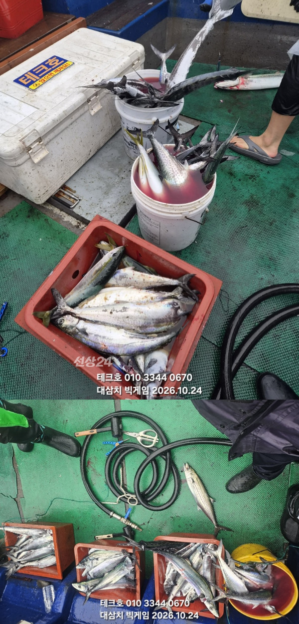 KakaoTalk_20261024_125051924_07-vert.jpg