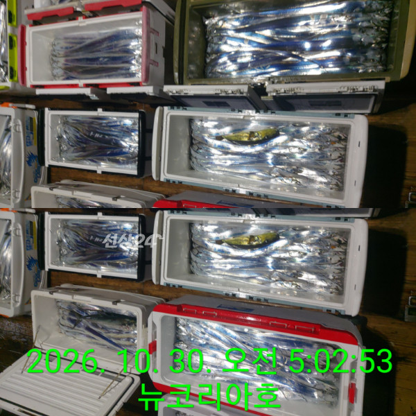 1000104353.jpg