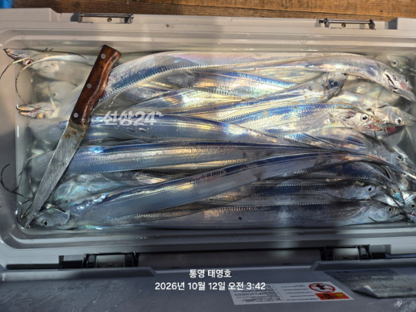 KakaoTalk_20261012_054903533_03.jpg