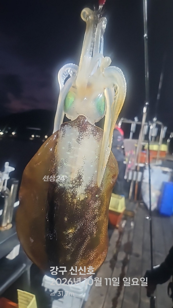 신신낚시 강구점 신신호_사진_20261012_4.jpg