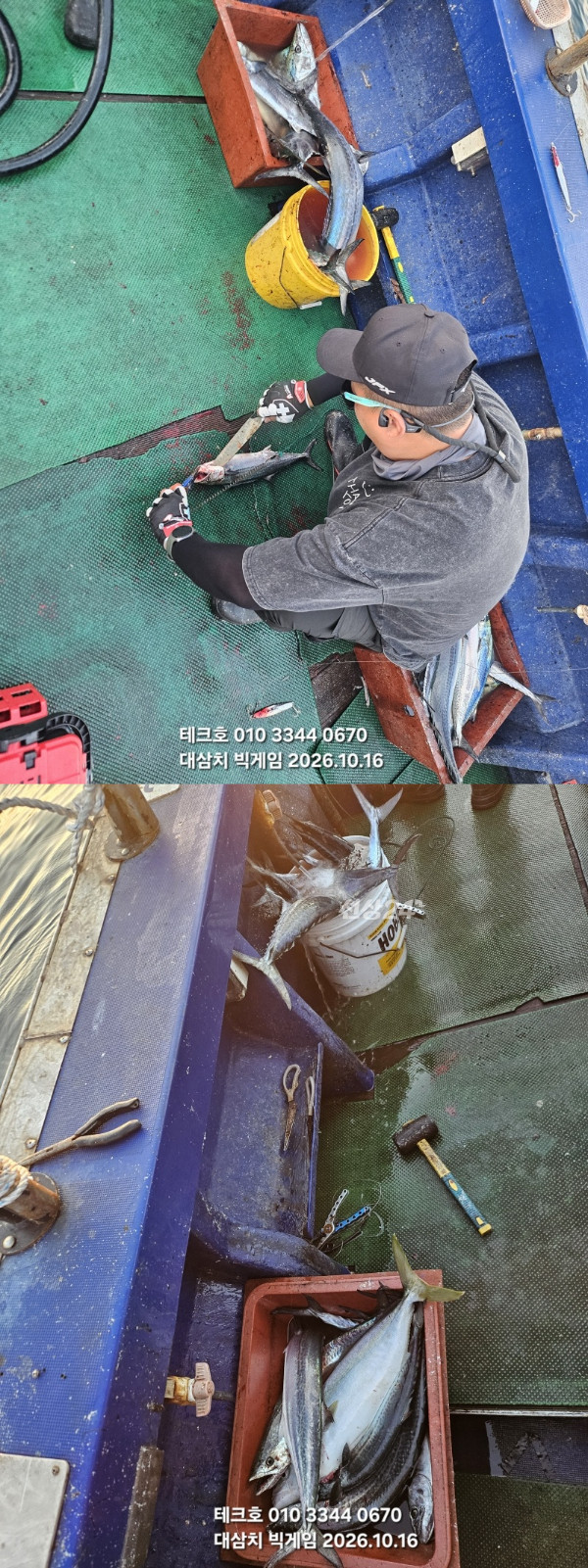 KakaoTalk_20261016_174326988_24-vert.jpg