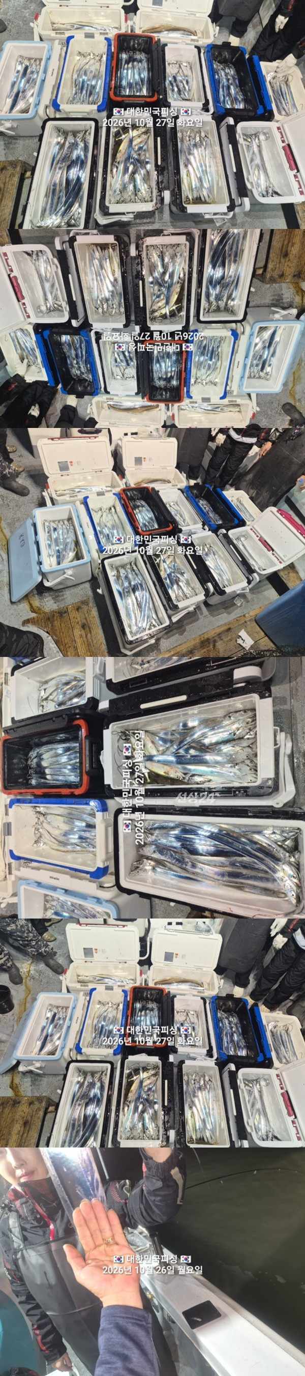갈치3.jpg