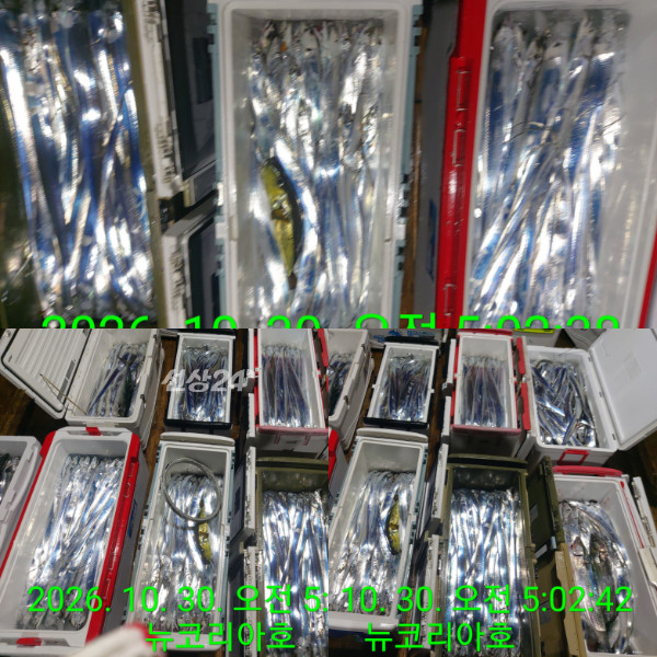 1000104354.jpg