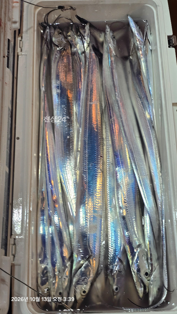 1000055245.jpg