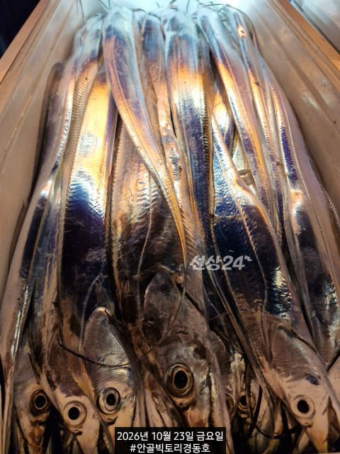 1792703187100.jpg