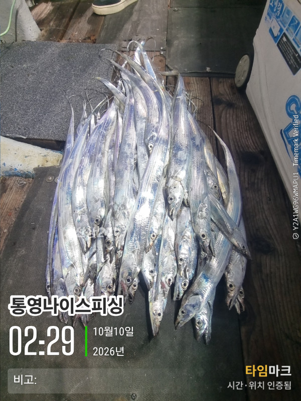 20261010_022917_글꼴-통영나이스피싱.jpg