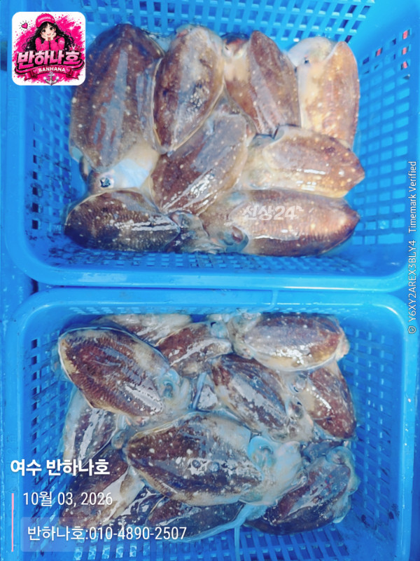 20261003_130204_제목-여수 반하나호_반하나호-010-4890-2507.jpg