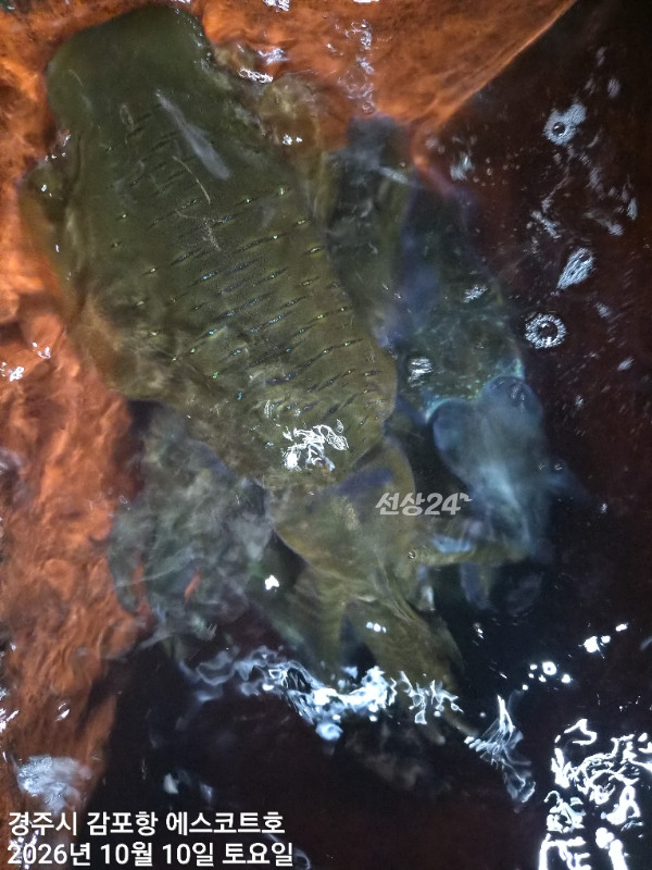 21057.jpg