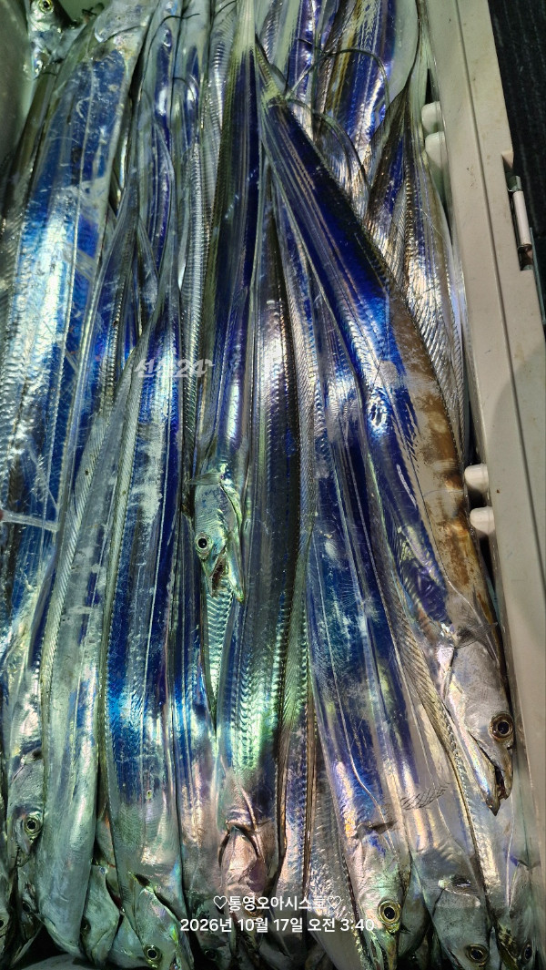 84551.jpg