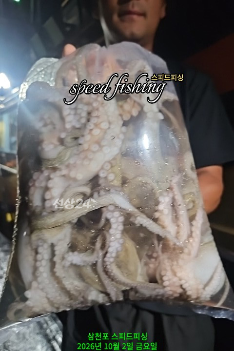 KakaoTalk_20261003_013923389_11.jpg
