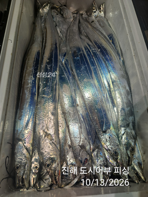 KakaoTalk_20261013_051029627_18.jpg