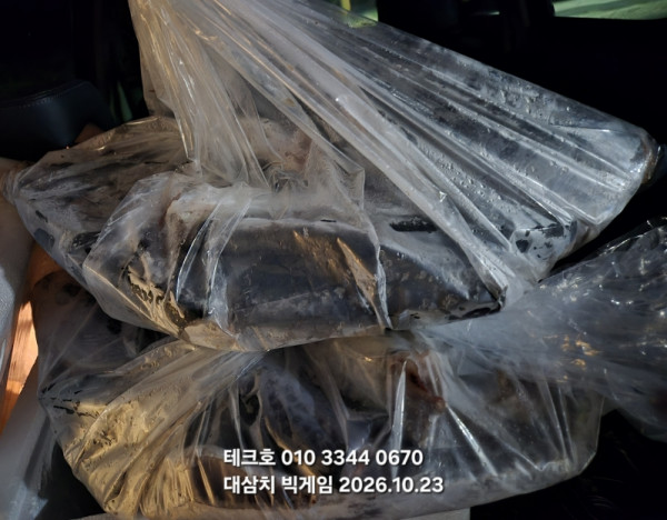 KakaoTalk_20261023_181852571.jpg
