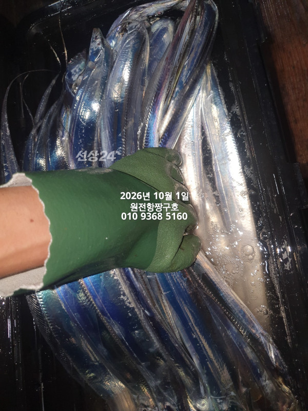 KakaoTalk_20261001_132603487_03.jpg