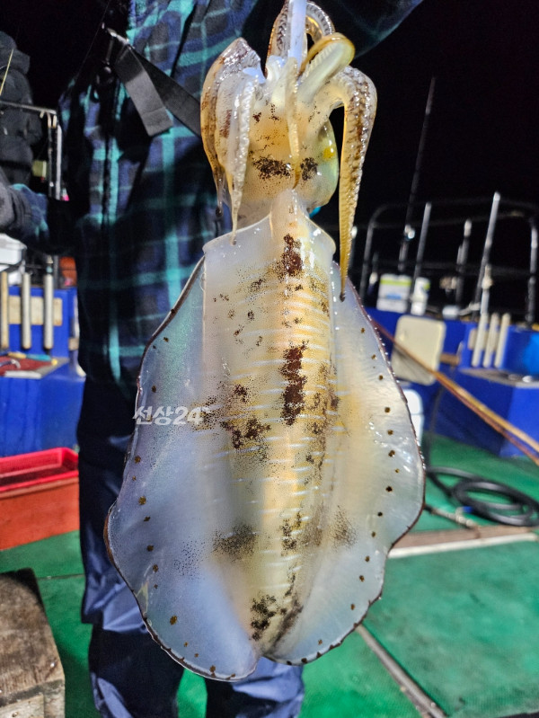 KakaoTalk_20261016_001517748_02.jpg