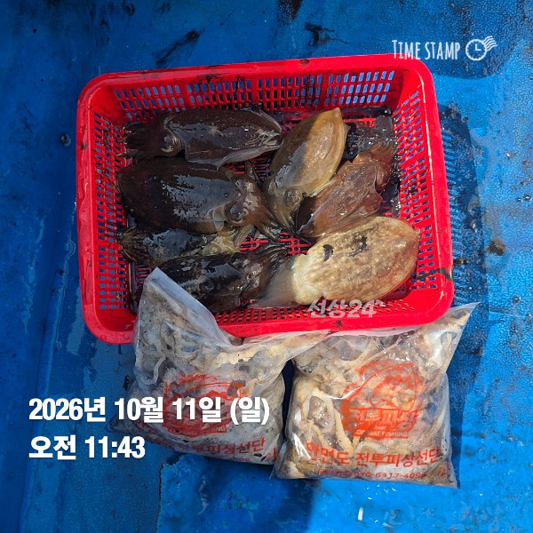 KakaoTalk_20261011_172621376_01.jpg