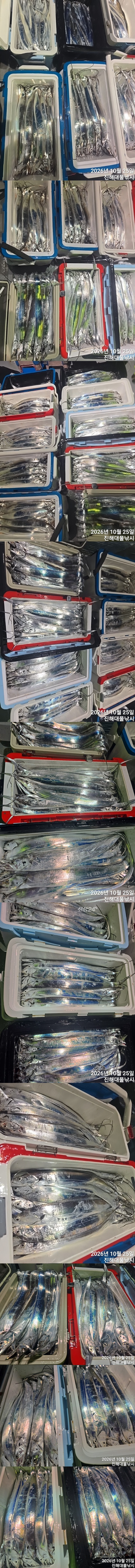 칼치4.jpg