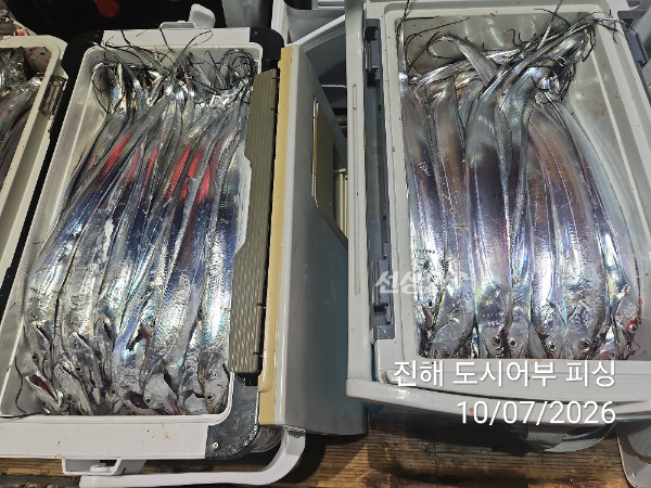 KakaoTalk_20261007_050419897_15.jpg