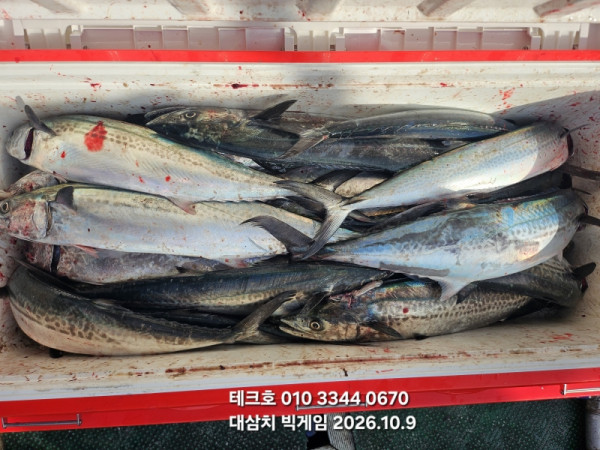 KakaoTalk_20261009_181143941.jpg