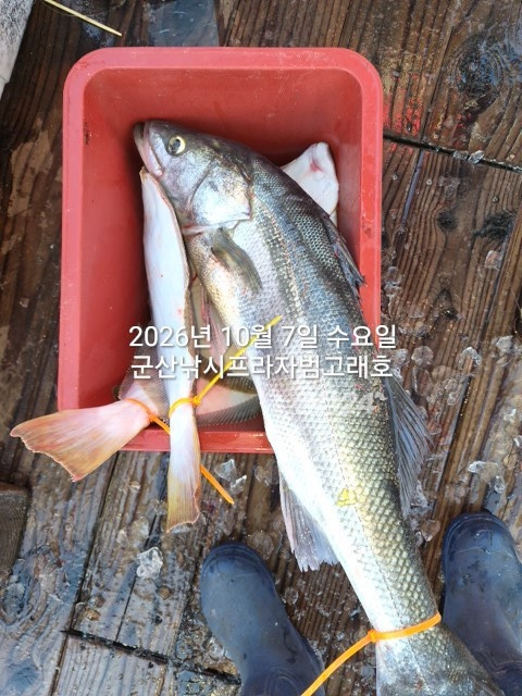 KakaoTalk_20261007_165339584_02.jpg