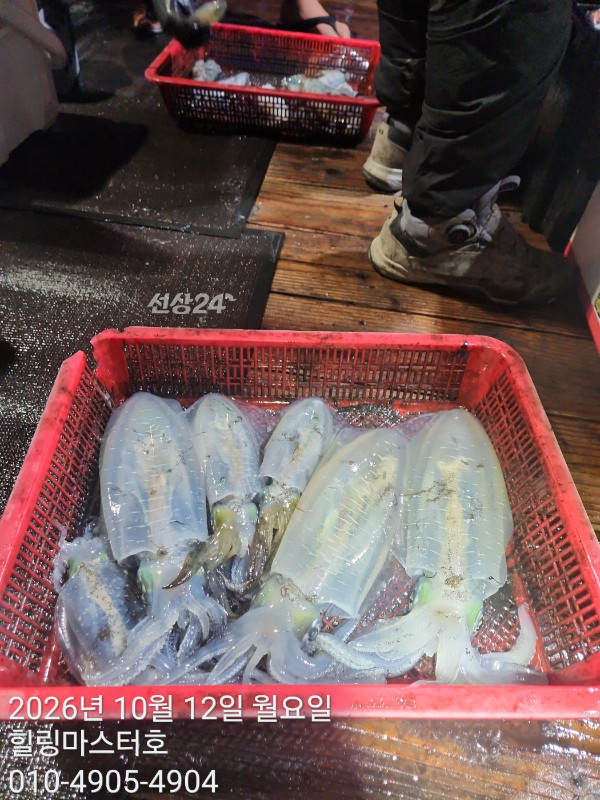 KakaoTalk_20261012_034309652_10.jpg