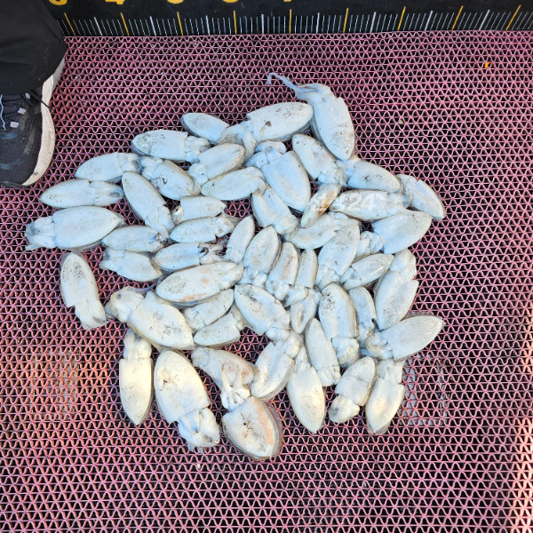 1000061271.jpg