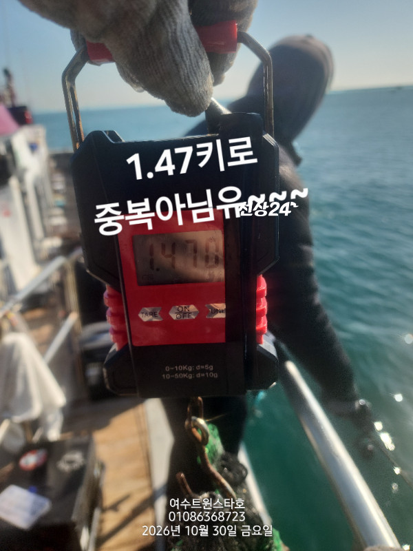 1000208270.jpg