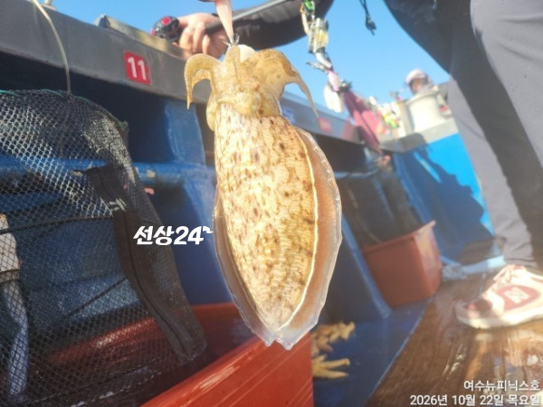 KakaoTalk_261031_093150_21.jpg