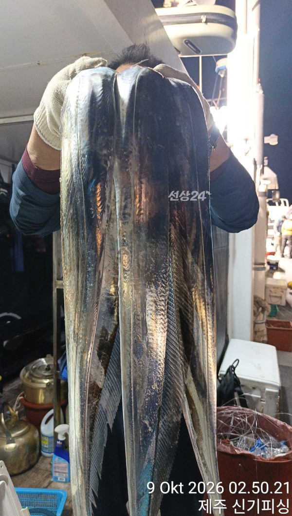 KakaoTalk_20261009_182212532_16.jpg