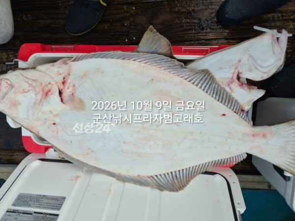 KakaoTalk_20261009_163031675_07.jpg