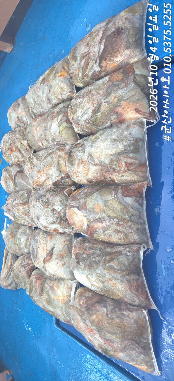 1791102307128.jpg