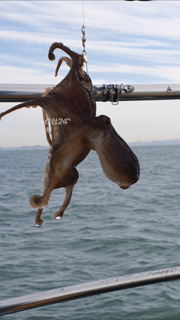 Screenshot_20261003_120150_Video Player.jpg