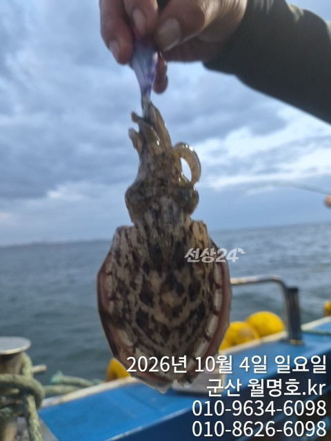 18067.jpg