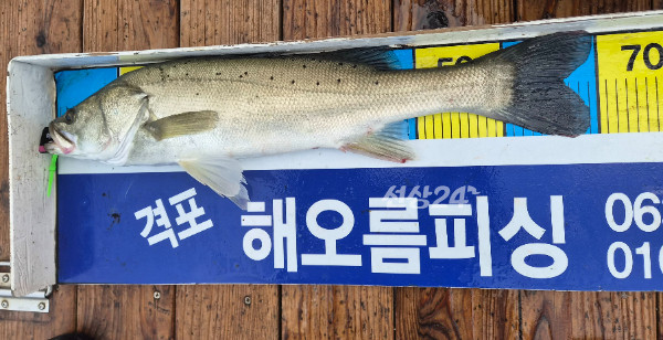 9028.jpg