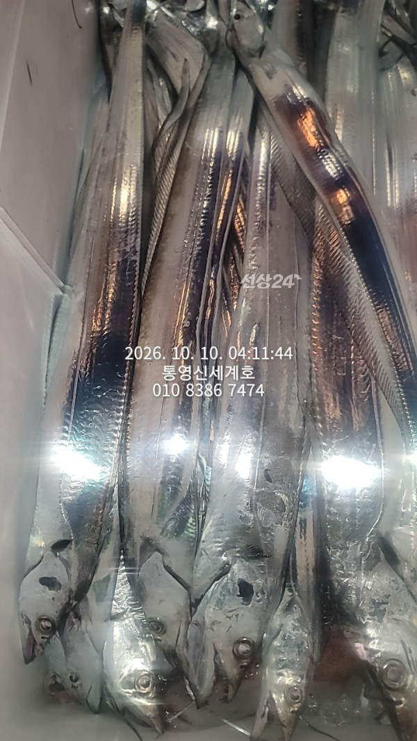 1791611604125.jpg