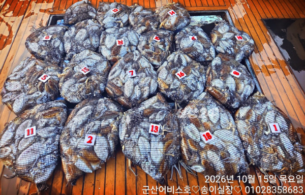 1000031879.jpg