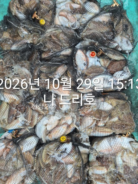 KakaoTalk_20261029_155252711_01.jpg